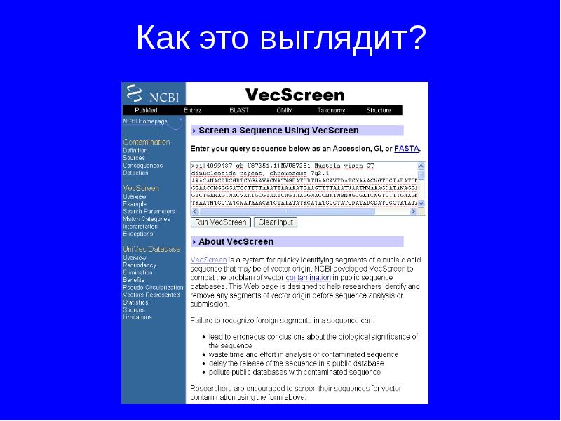 Как выглядит презентация для проекта