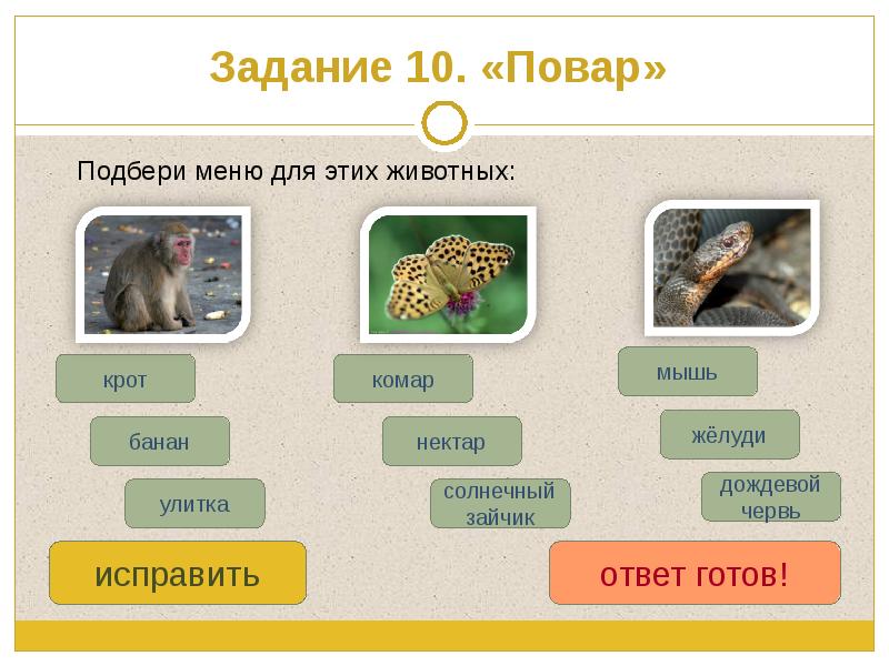 Презентация викторина про животных для начальной школы