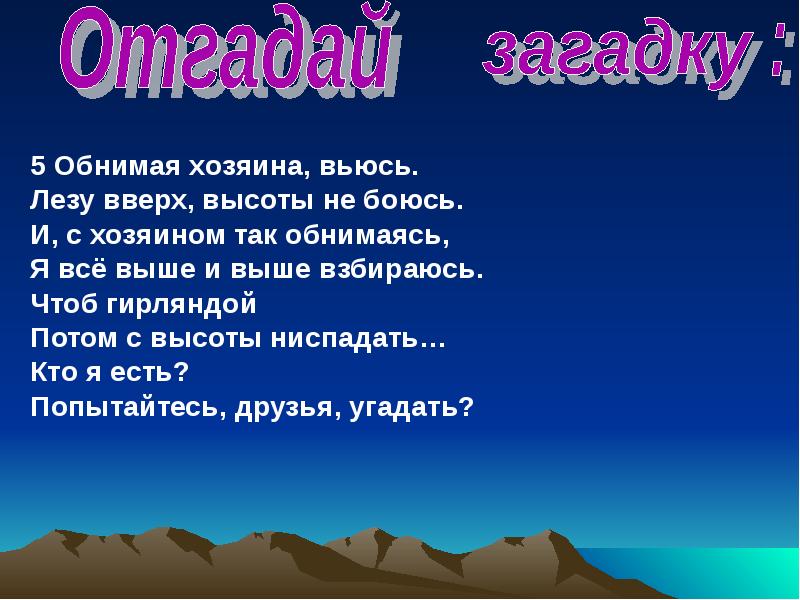 Все выше. Обнимая хозяина вьюсь лезу вверх высоты не боюсь.