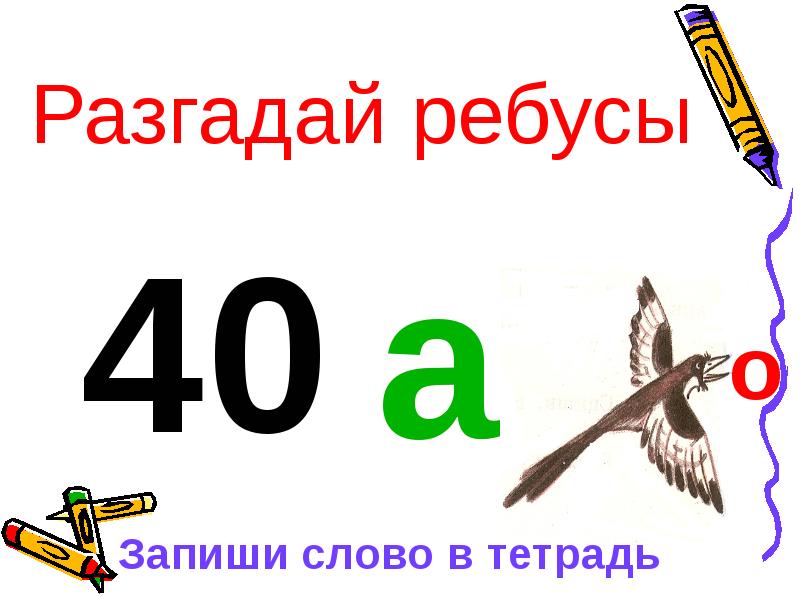 Как пишется сорока. Ребус сорока. Ребус к слову сорока. Словарное слово сорока в картинках. Словарное слово сорок.