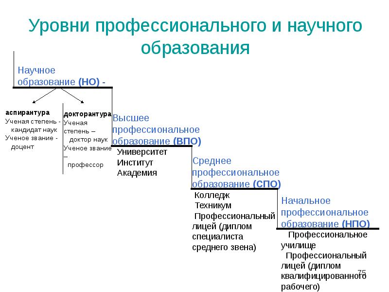 Схема создания научной публикации