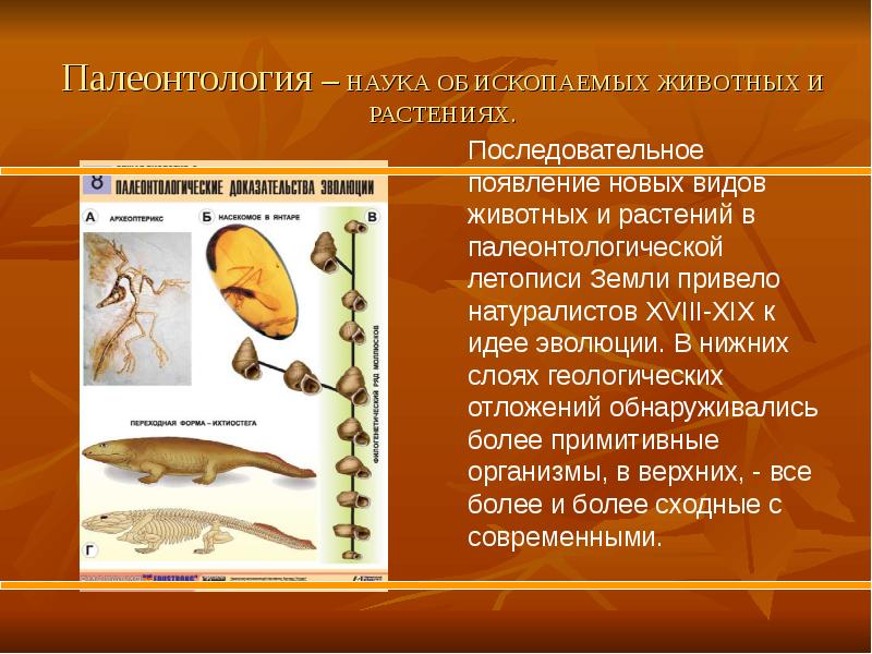 Презентация палеонтология 7 класс