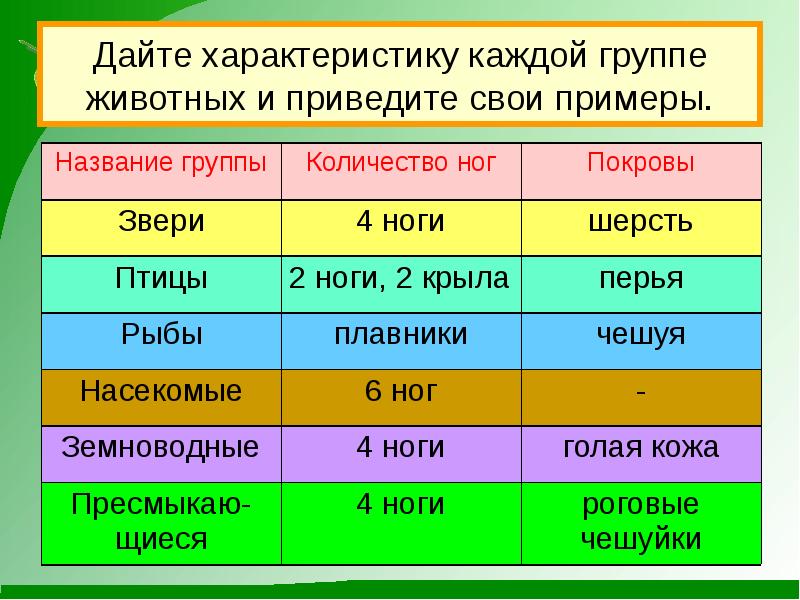 Презентация к чему относится