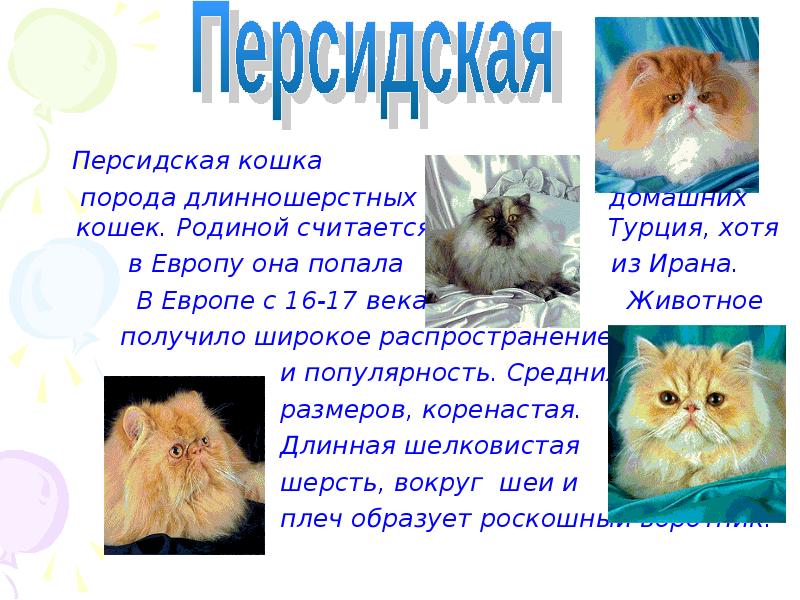 Породы кошек презентация 1 класс