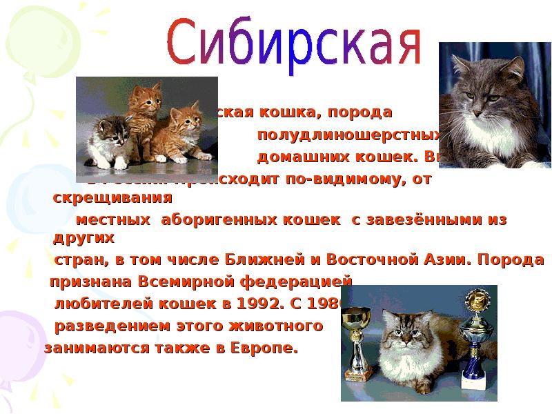 Кошки презентация 1 класс