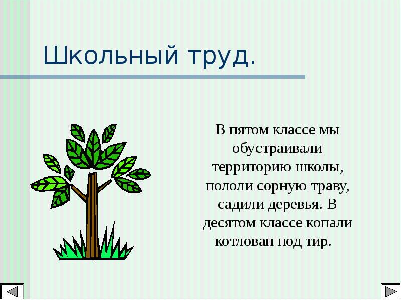 Что такое растение 6 класс