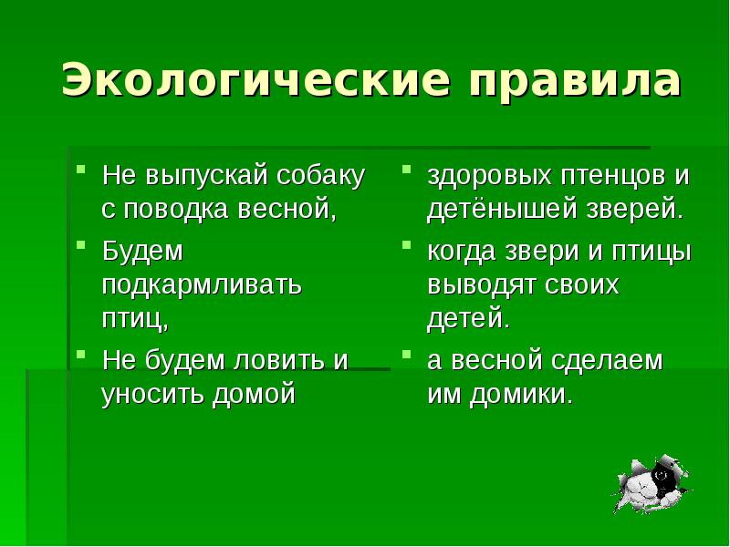 Правила экологической безопасности