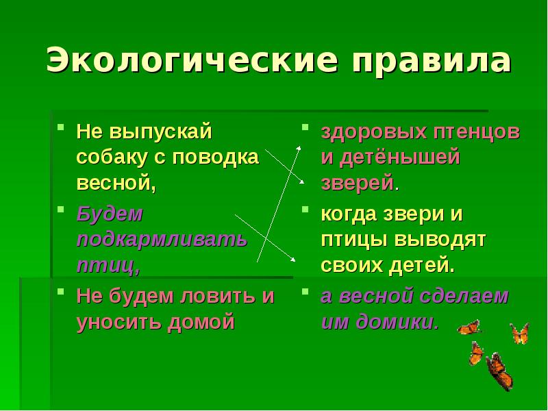 Экологические правила