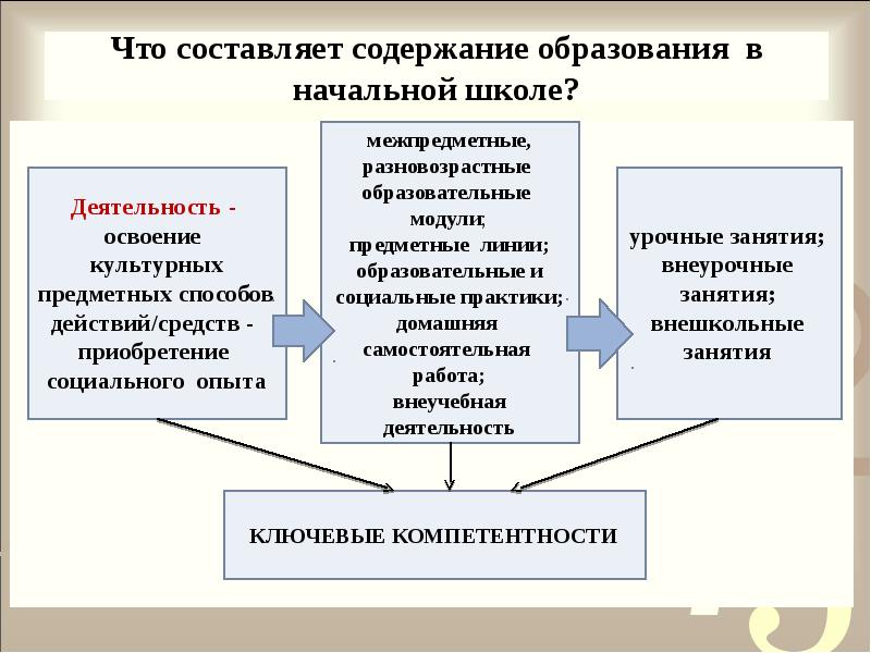 Содержание образования картинки