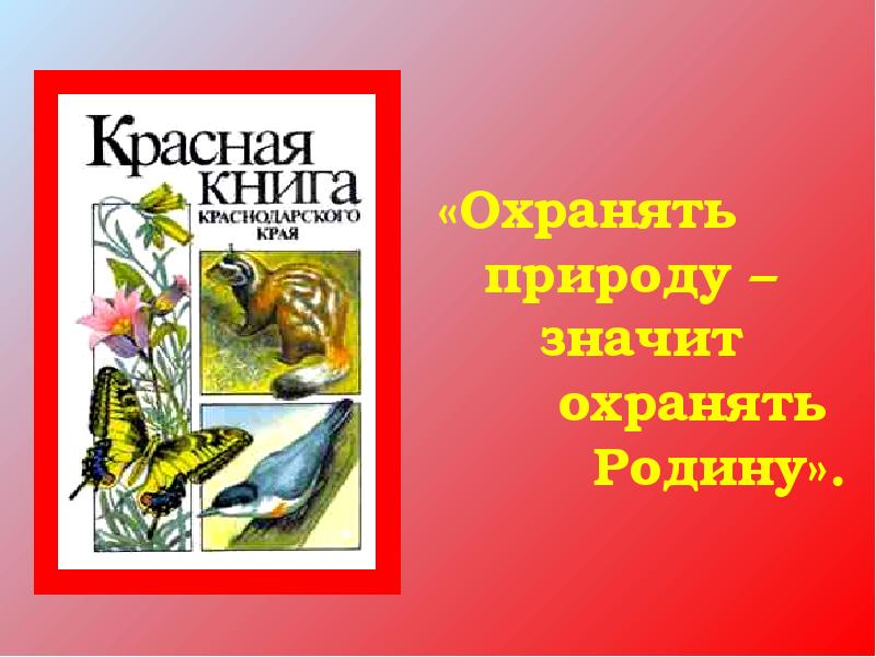 Проект красная книга для дошкольников