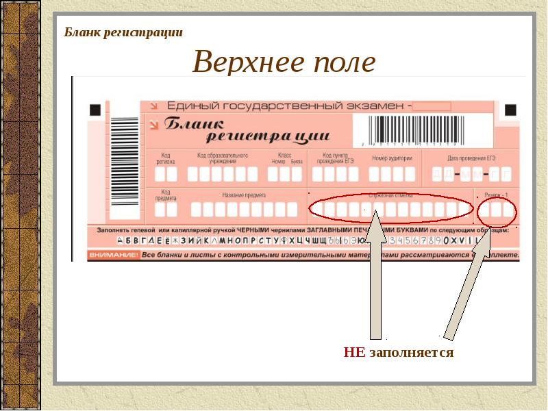 Презентация заполнение бланков егэ