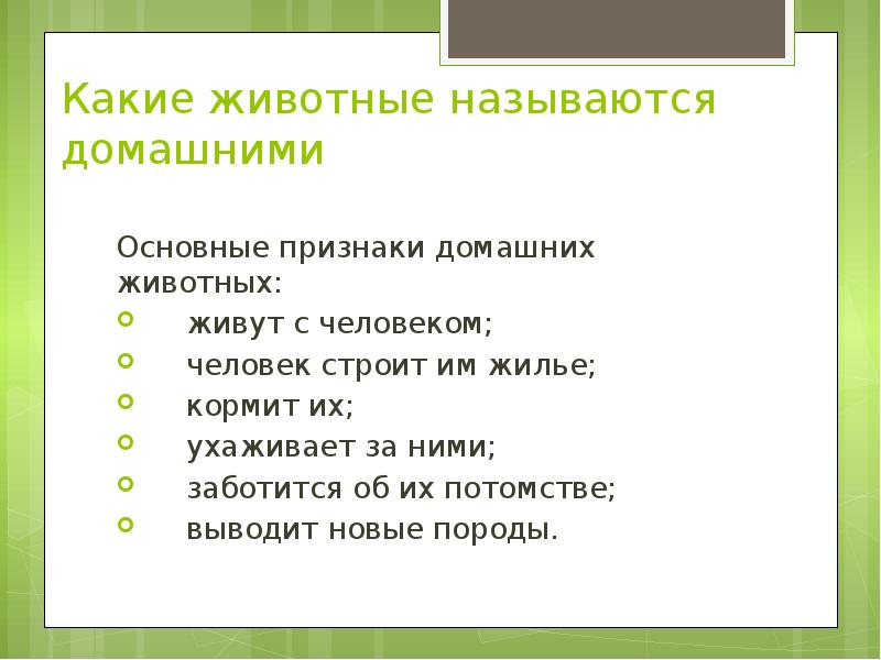 Правила ухода за домашними животными презентация