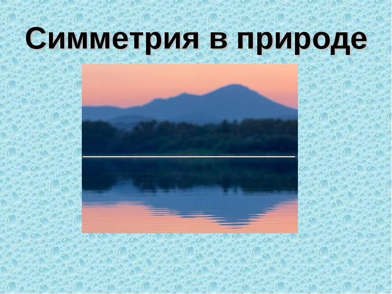 Симметрия в природе Симметрия в природе