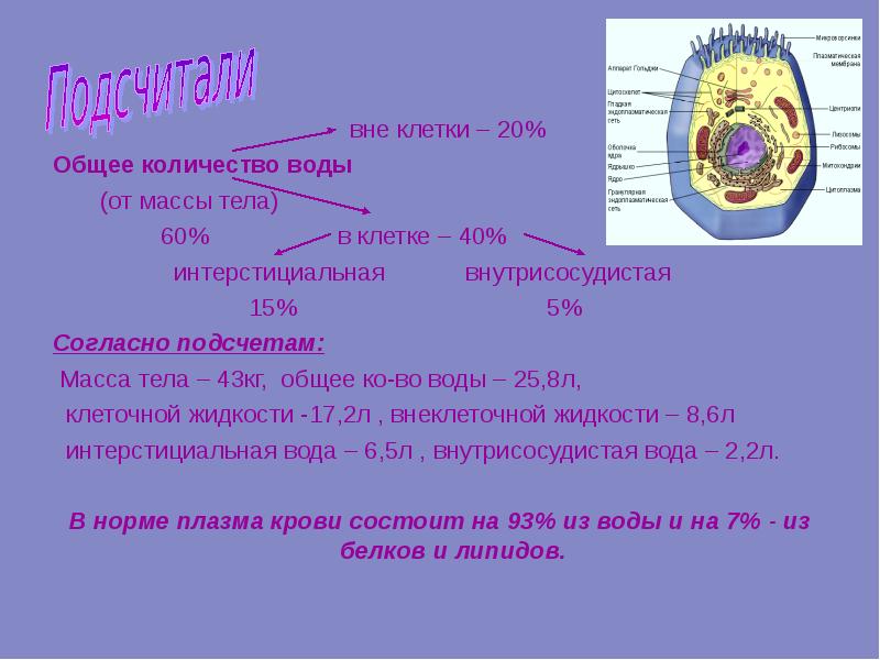 Вне клетки. Количество воды в клетках организма человека. Сколько воды в клетке человека. Сколько составляет вода в клетке. Сколько% воды в человеческом клетке.