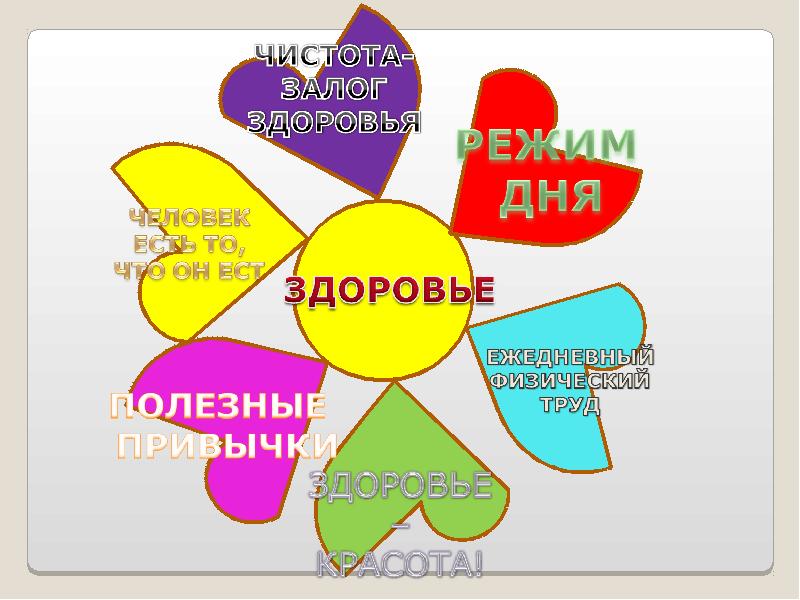 Проект мое здоровье в моих руках 6 класс