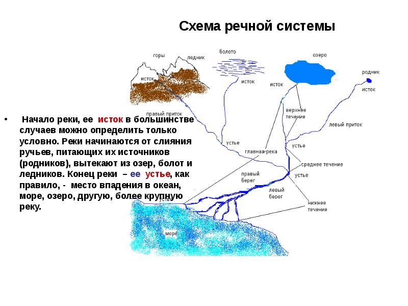 Какие есть направления реки. Река строение Речной системы. Схема Речной системы Невы.