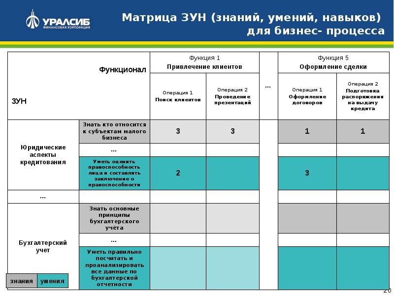 График обучения образец