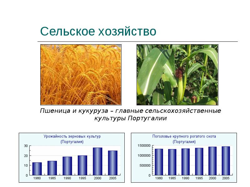 Экономика португалии презентация