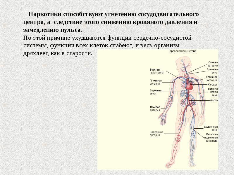 Угнетения органов. Влияние наркотиков на сердечно сосудистую систему. Влияние наркотиков на кровеносную систему. Как влияет наркотики на кровеносную систему. Кровеносная система органов влияние наркотиков.