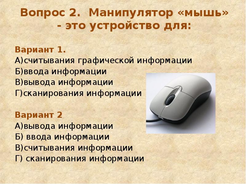Мышь относится к группе. Манипулятор мышь. Манипулятор мышь это устройство. Устройства ввода информации мышь. Графический манипулятор мышь.