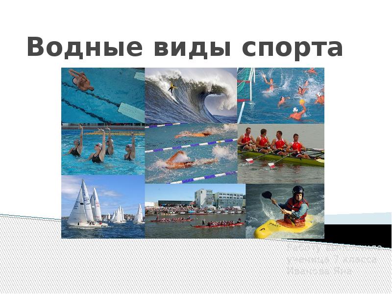 Проект водные виды спорта