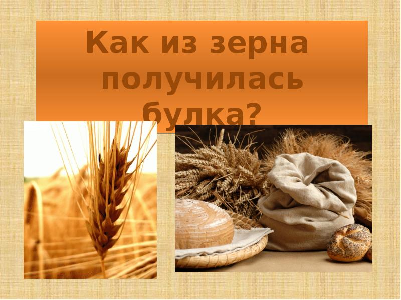 Из каких культур делают хлеб. Как из зерна получается хлеб. Как из зерен делают хлеб. Хлеб от зернышка к булке. Картинки из чего получается хлеб.