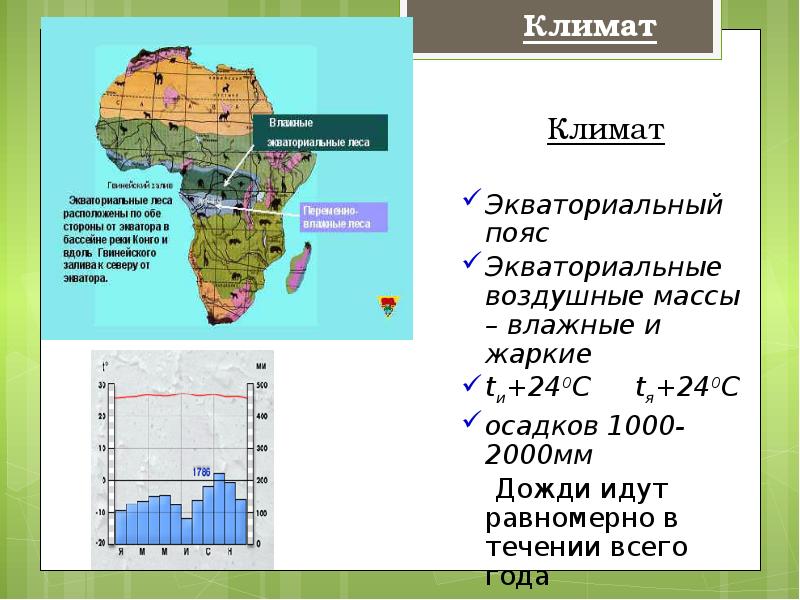 Влажные экваториальные леса карта мира