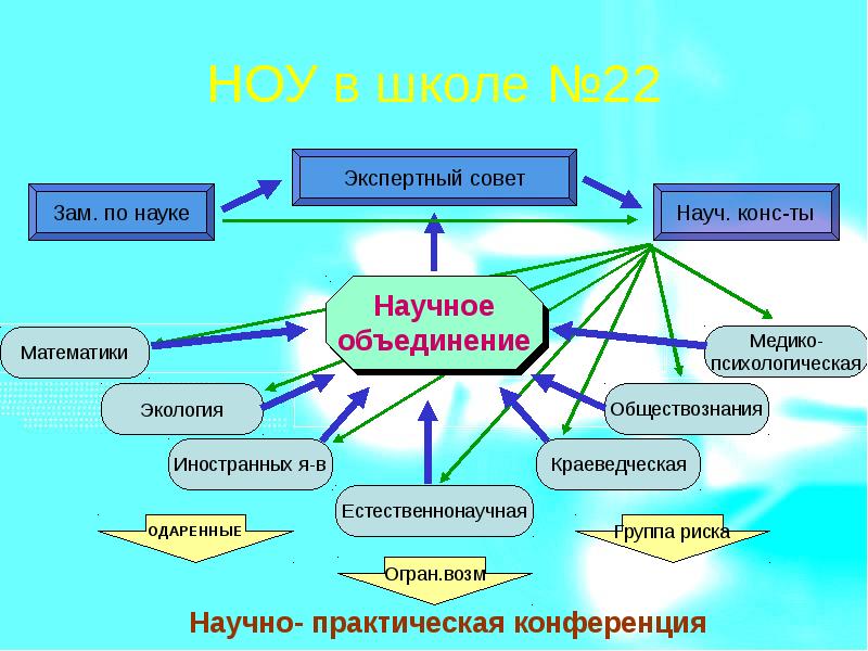 Общество учащихся. Научное общество учащихся в школе. Презентация научного общества учащихся в школе. Проблемы научного общества учащихся в школе. Научное общество учащихся профиль.