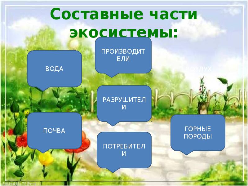 Природа составные части