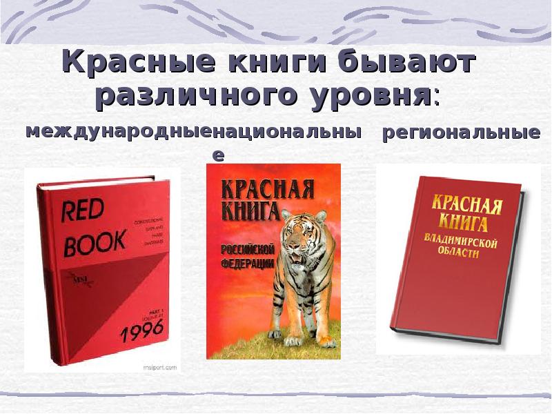 Презентация про красную книгу владимирской области