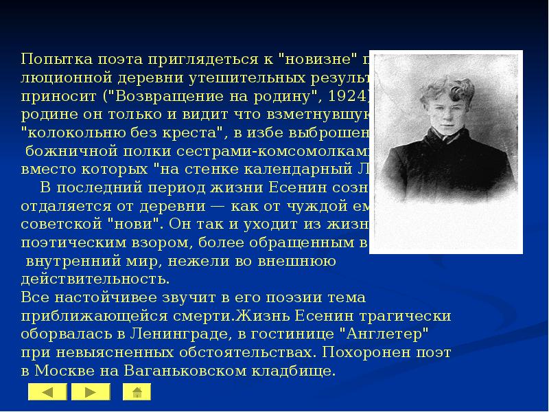 Тема родины в лирике есенина сочинение. Тема любви в поэзии Есенина. Тема деревни в лирике Есенина. Сочинение по лирике Есенина. Трагедия русской деревни в лирике Есенина.