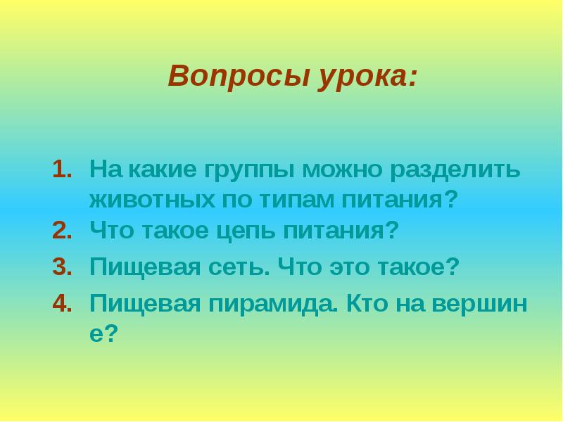 Вопросы питания. На какие группы можно разделить животных. На какие группы можно разделить животных по способам питания. На какие группы можно разделить животных 1 класс. На какие группы можно разделить животных по особенностям их питания.