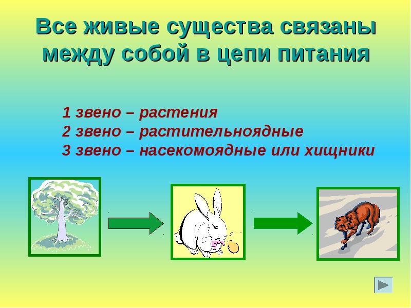 Презентация про питание животных