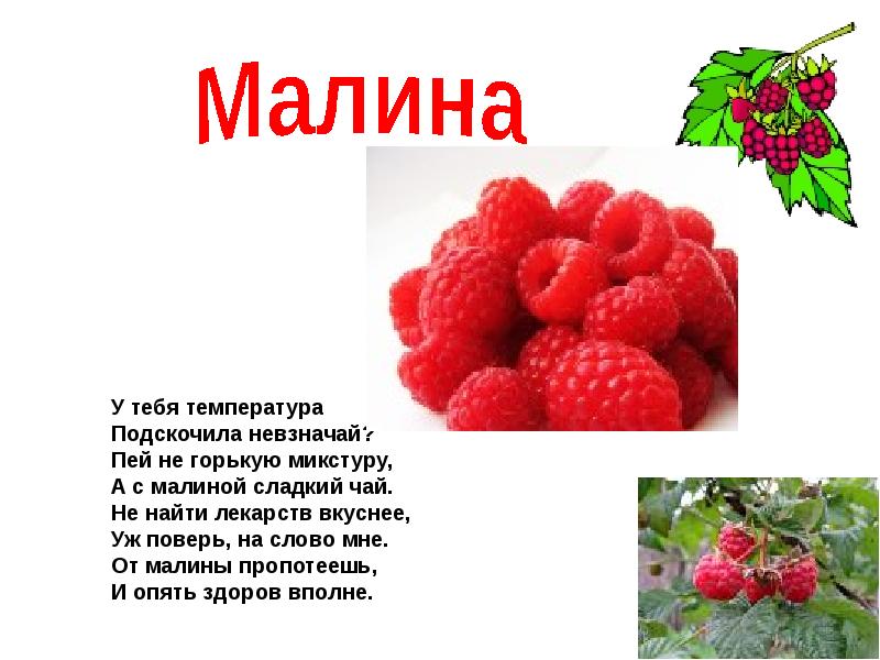 Схема слова малина