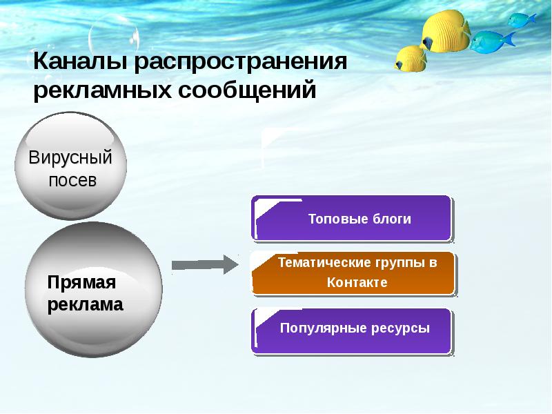 Распространение проекта это