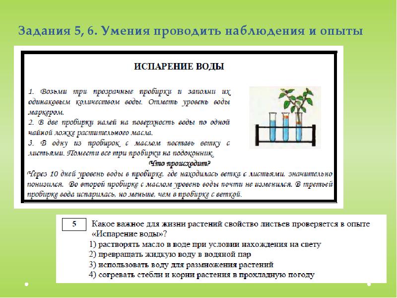 Опыты 4 класс окружающий. Метапредметное тестирование для воспитателей с ответами. Опыты по метапредметной диагностике для воспитателей. Задания по метапредметным навыкам. Метапредметные задания 4 класс.