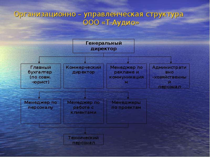 Организационно управленческая модель проекта