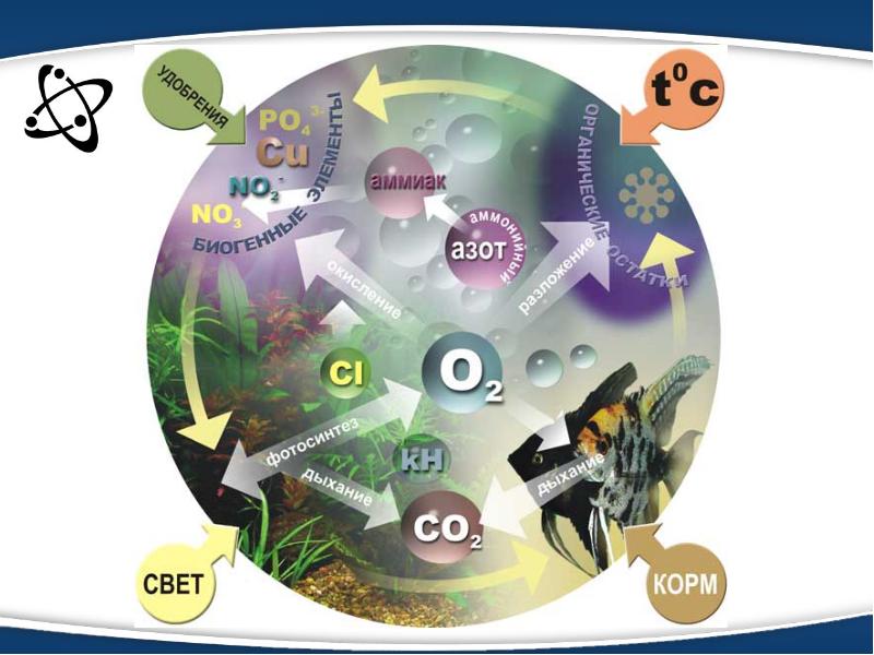 свет азотный. разложение азотной кислоты на свету. азотная кислота с кислотами. свет азотный. оксид азота и диоксид азота.