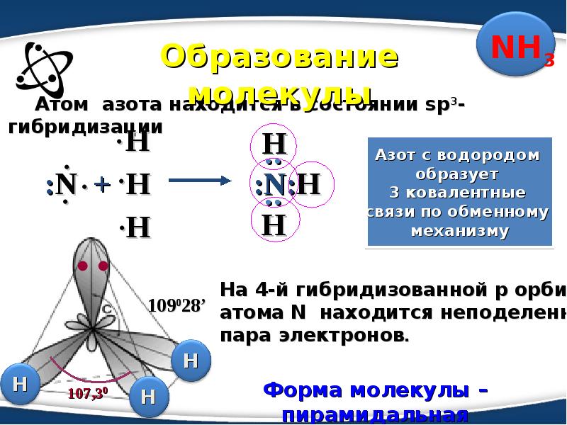 Аммиак соли аммония презентация по химии 9 класс