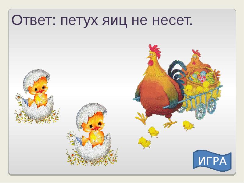 Петух несущий яйца