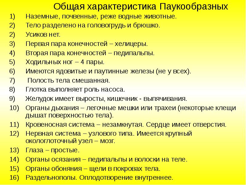 Признаки класса паукообразные. Характеристика паукообразных. Характеристика класса паукообразные. Класс паукообразные общая характеристика.