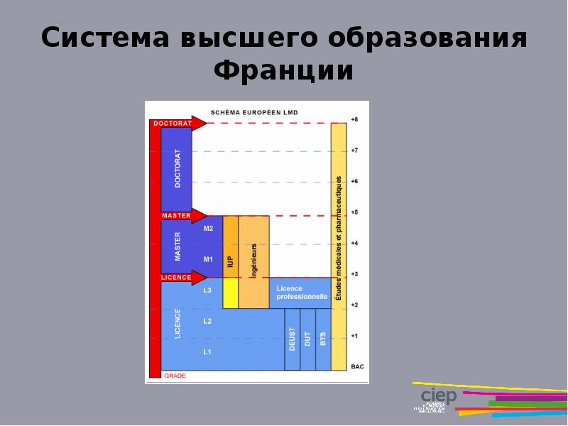 Схема образования франция