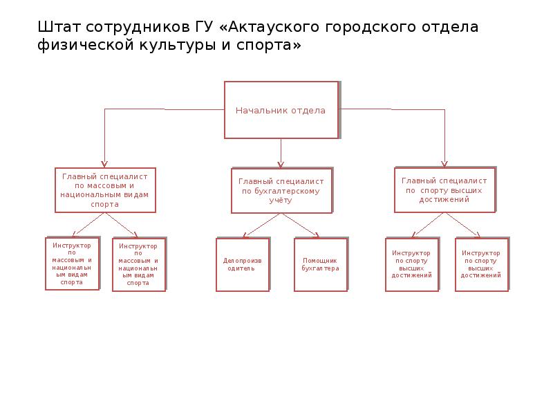 Штат сотрудников