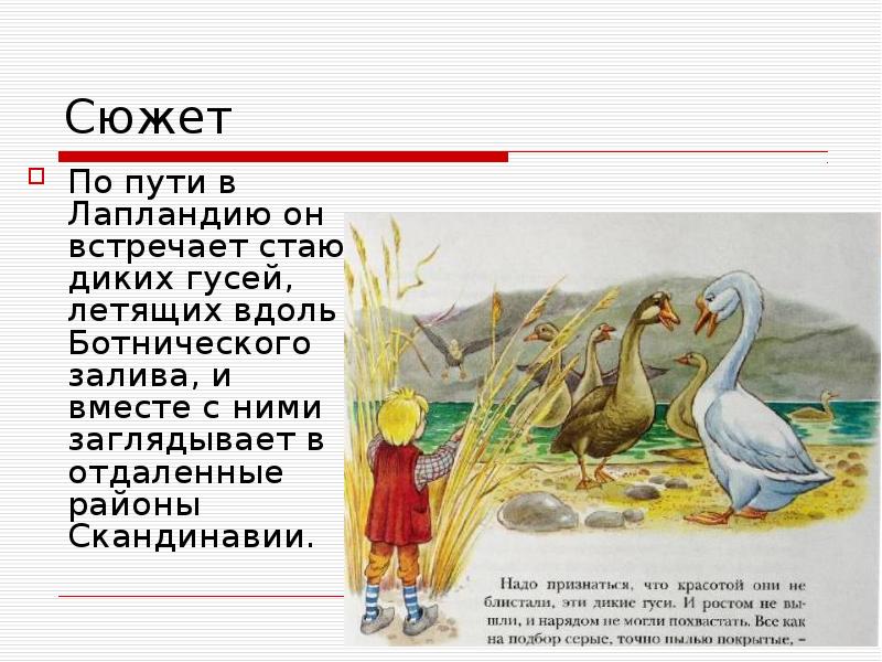 Рисунок нильса с дикими гусями для читательского дневника