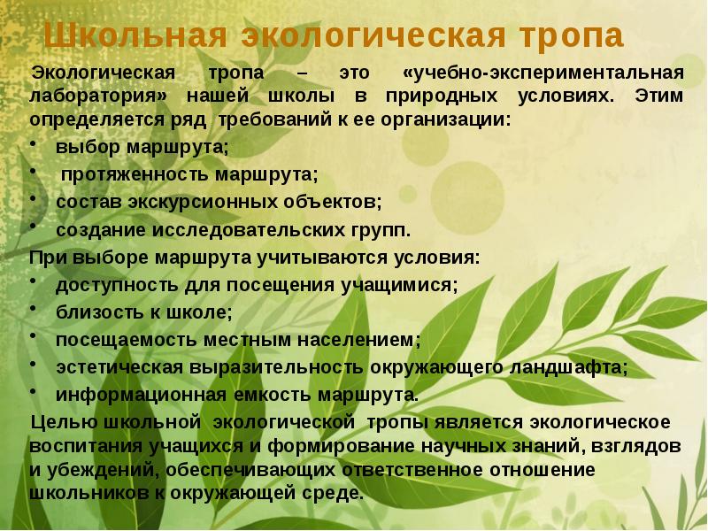 Презентация экологической тропы