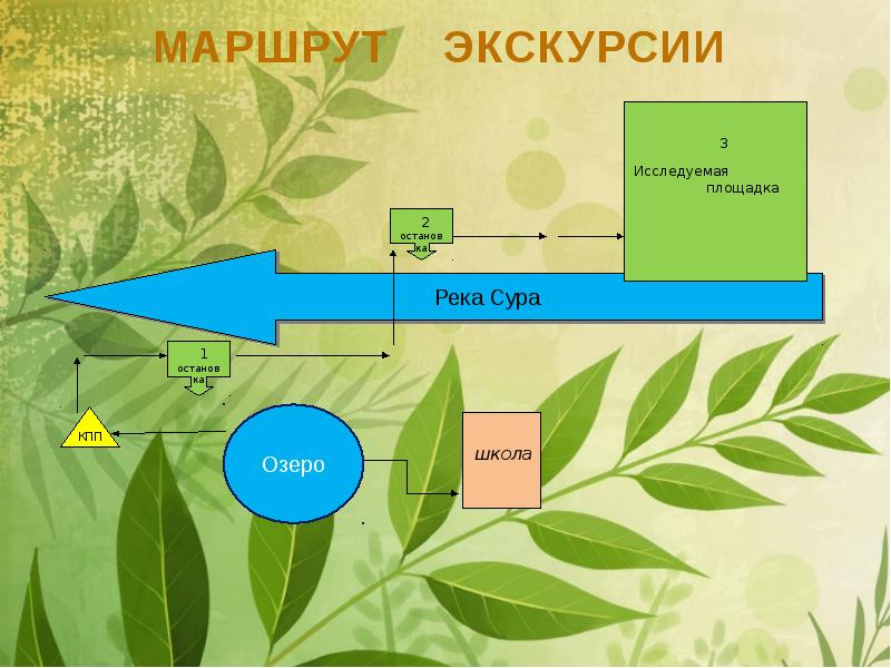 Презентация экологическая тропа в школе