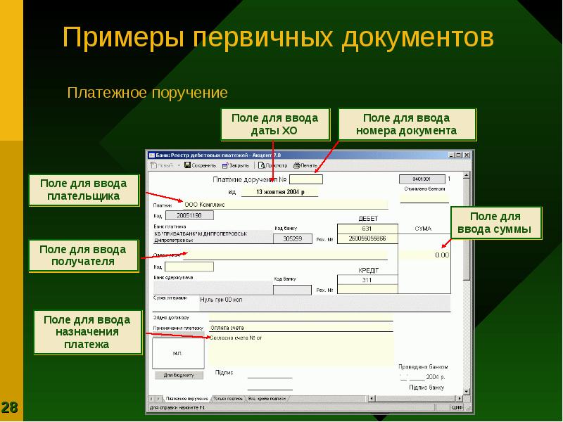 Первичная регистрация данных. Первичная регистрация данных
