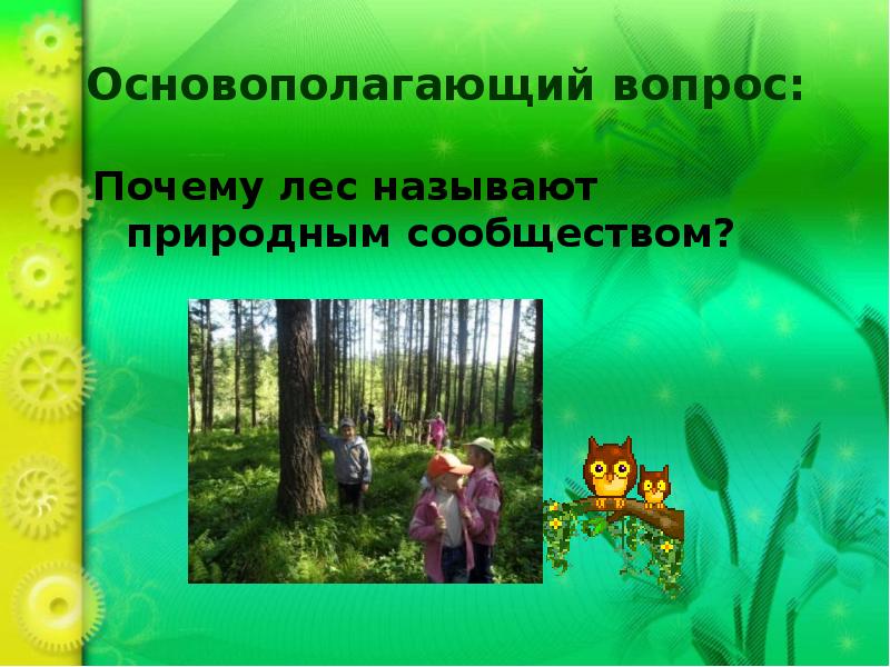 Почему лес называют сообществом окружающий мир. Почему лес называют сообществом. Почему лес называют природным сообществом. Почему ЛКС называют сообществом. Рассказ почему лес называют сообществом.