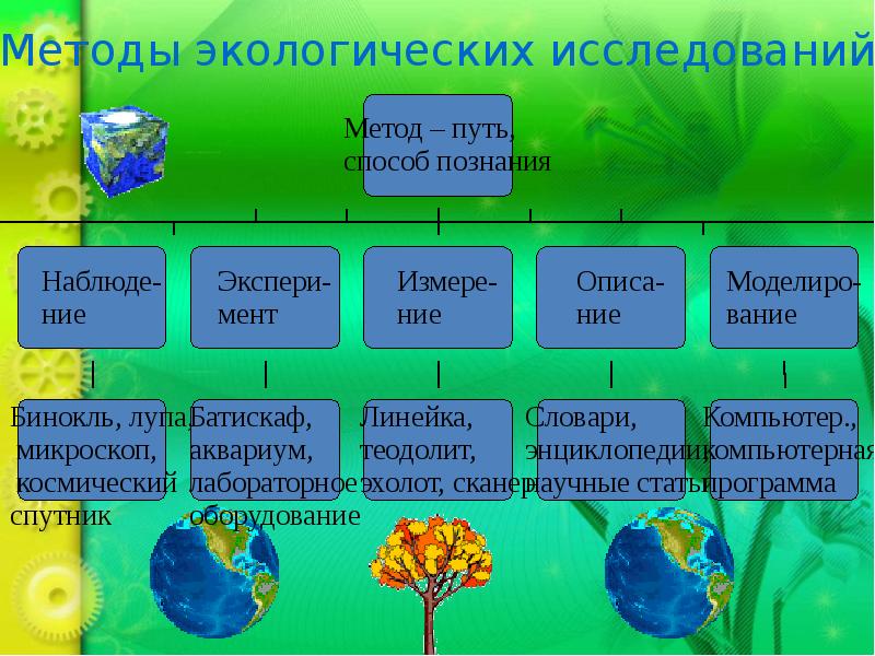 Роль человека в сохранении разнообразия видов в природе проект 9 класс