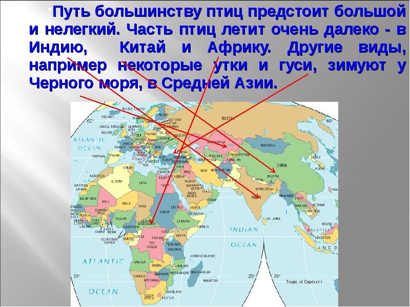 Карта миграции журавлей